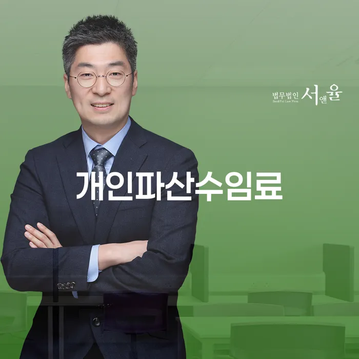 개인회생일시변제 개인회생 제도 결정이나고