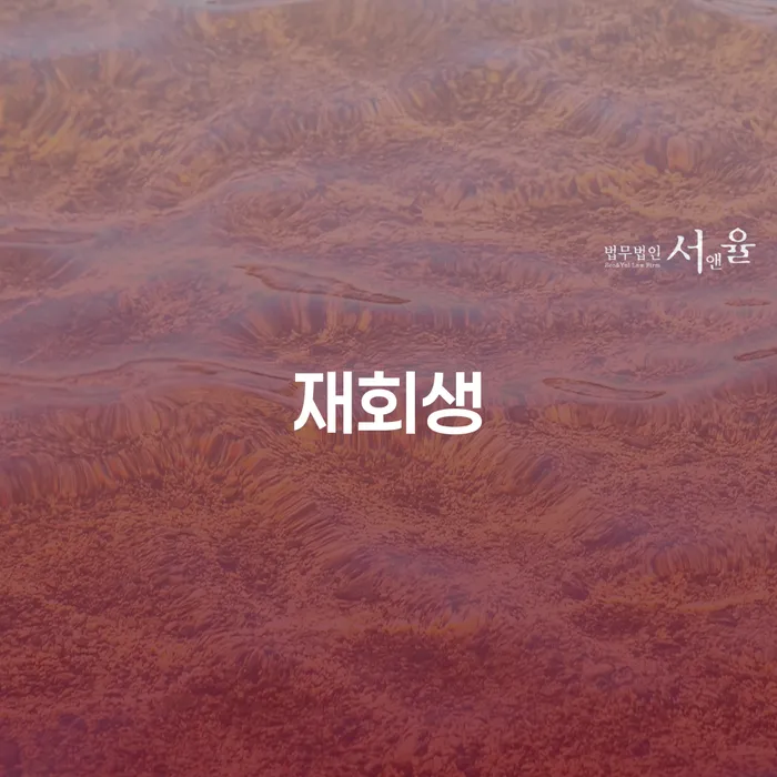 개인회생이의신청 빚독촉 경험 많은 곳에서
