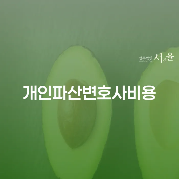 성남시 개인회생수수료 개인회생,개인파산으로 성향에