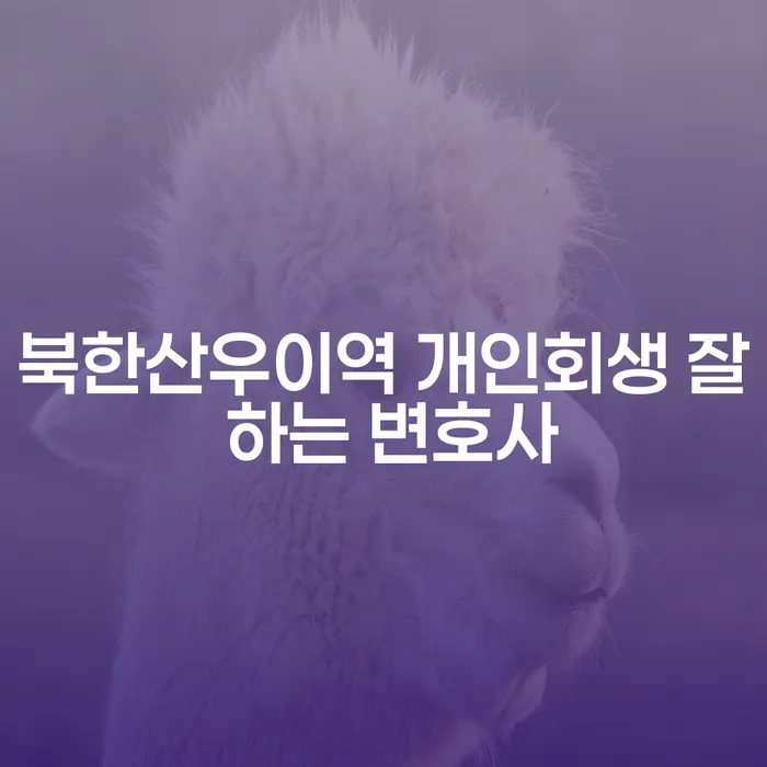 북한산우이역 개인회생 잘 하는 변호사