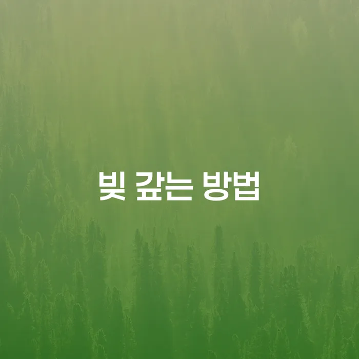 빚 갚는 방법: 개인회생과 개인파산으로 새로운 시작을