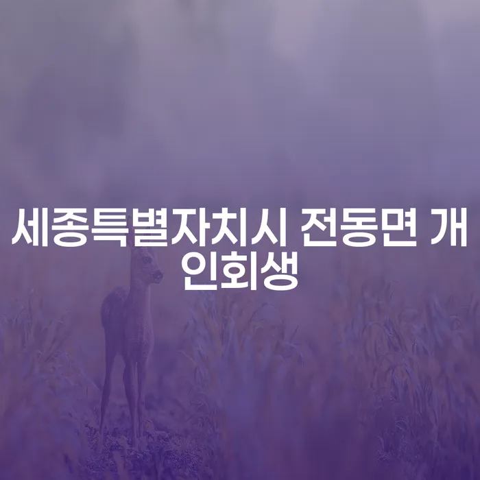 세종특별자치시 전동면에서 개인회생을 고민 중이신가요?
