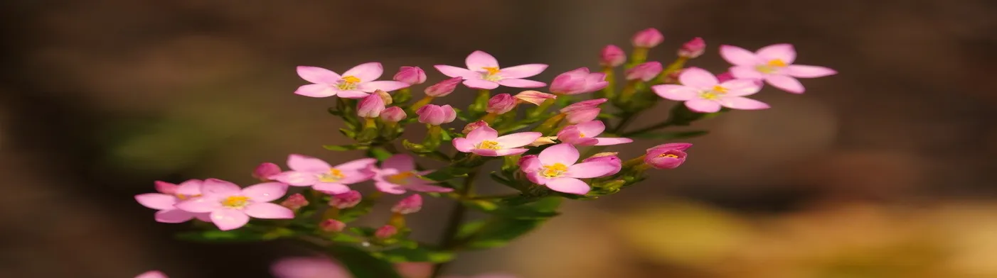 법무법인 서앤율
